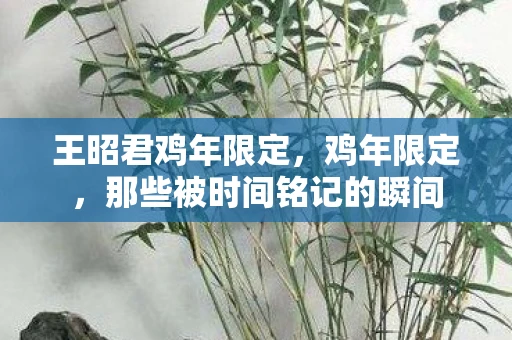 王昭君鸡年限定，鸡年限定，那些被时间铭记的瞬间