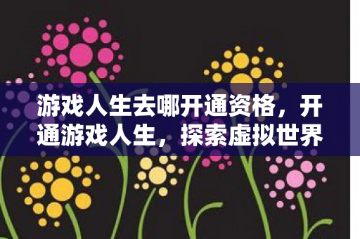 游戏人生去哪开通资格，开通游戏人生，探索虚拟世界的无限可能
