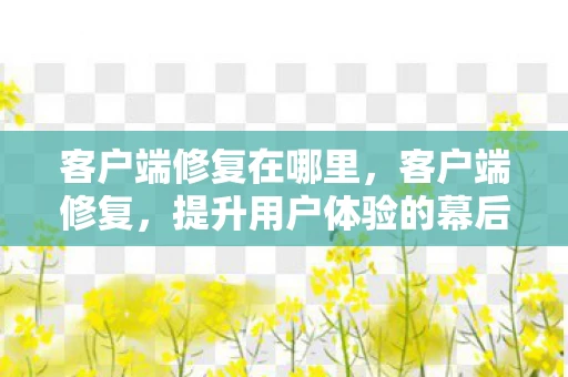客户端修复在哪里，客户端修复，提升用户体验的幕后英雄