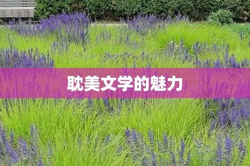 耽美文学的魅力