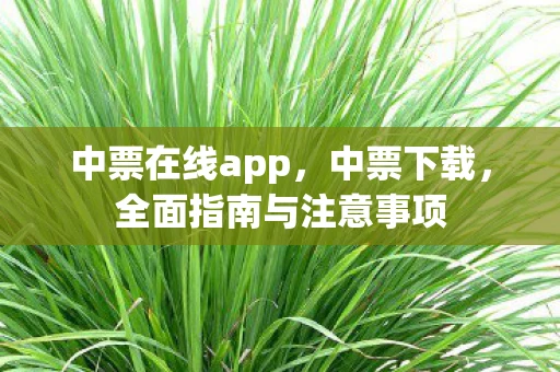 中票在线app，中票下载，全面指南与注意事项