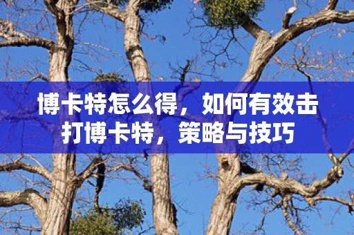 博卡特怎么得，如何有效击打博卡特，策略与技巧