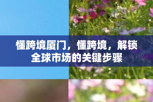 懂跨境厦门，懂跨境，解锁全球市场的关键步骤