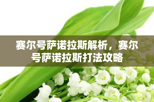 赛尔号萨诺拉斯解析，赛尔号萨诺拉斯打法攻略