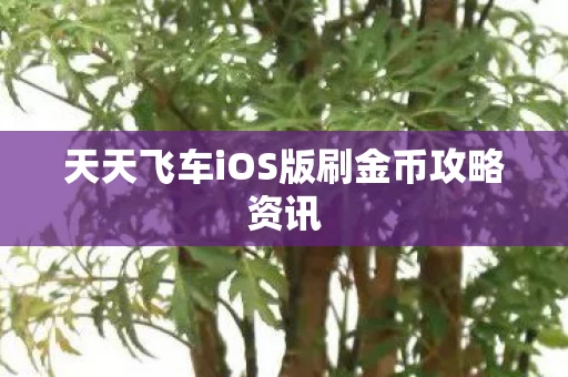 天天飞车iOS版刷金币攻略资讯图片