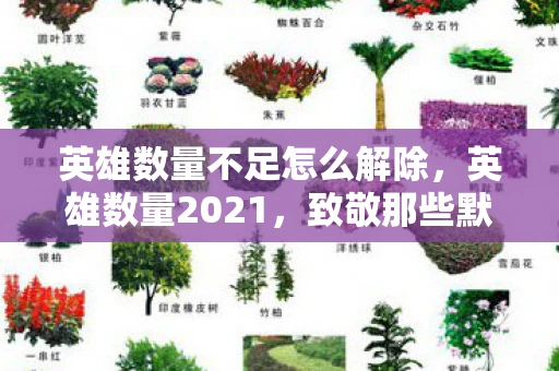 英雄数量不足怎么解除，英雄数量2021，致敬那些默默守护我们的无名英雄