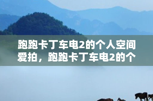 跑跑卡丁车电2的个人空间爱拍，跑跑卡丁车电2的个人空间，打造专属的竞速乐园