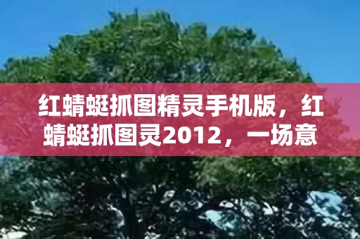 红蜻蜓抓图精灵手机版，红蜻蜓抓图灵2012，一场意外的科技盛宴