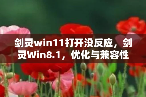 剑灵win11打开没反应，剑灵Win8.1，优化与兼容性指南