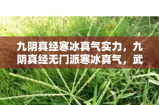九阴真经寒冰真气实力，九阴真经无门派寒冰真气，武侠世界中的极致修炼