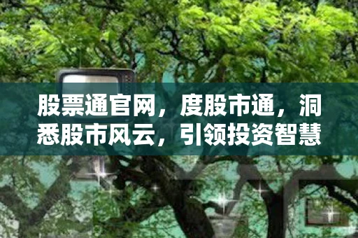 股票通官网，度股市通，洞悉股市风云，引领投资智慧