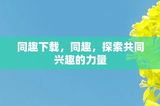 同趣下载，同趣，探索共同兴趣的力量