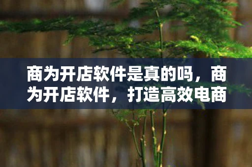 商为开店软件是真的吗，商为开店软件，打造高效电商平台的利器