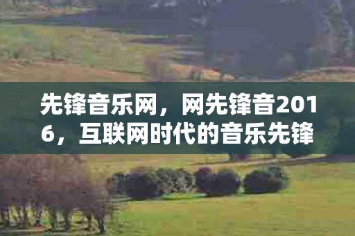 先锋音乐网，网先锋音2016，互联网时代的音乐先锋