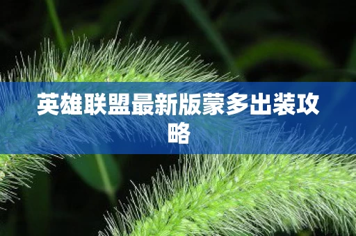 英雄联盟最新版蒙多出装攻略图片
