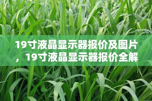 19寸液晶显示器报价及图片,19寸液晶显示器报价全解析 19寸液晶显示器报价及图片,19寸液晶显示器报价全解析