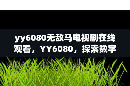 yy6080无敌马电视剧在线观看，YY6080，探索数字背后的故事与意义