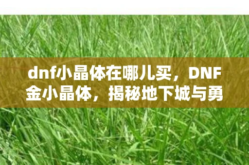 dnf小晶体在哪儿买，DNF金小晶体，揭秘地下城与勇士中的神秘存在