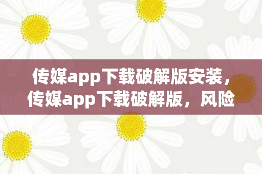 传媒app下载破解版安装，传媒app下载破解版，风险与警示