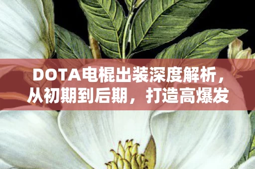 打造高爆发与生存能力的完美融合图片