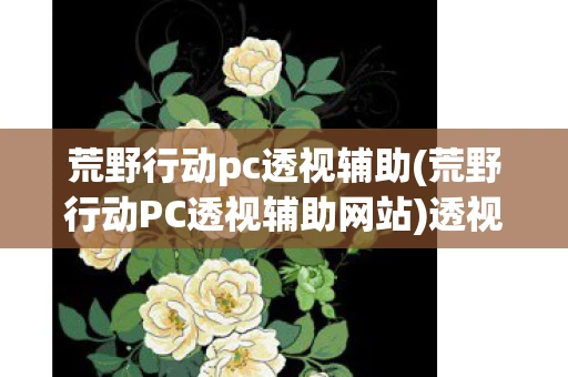 荒野行动pc透视辅助(荒野行动PC透视辅助网站)透视辅助，荒野行动PC版中的作弊行为