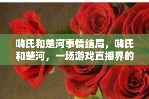 嗨氏和楚河事情结局，嗨氏和楚河，一场游戏直播界的恩怨情仇