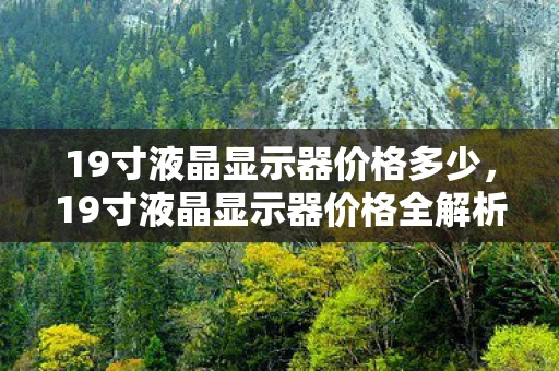 19寸液晶显示器价格多少，19寸液晶显示器价格全解析