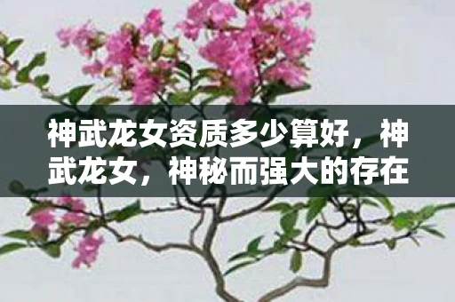 神武龙女资质多少算好，神武龙女，神秘而强大的存在