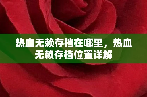 热血无赖存档在哪里，热血无赖存档位置详解