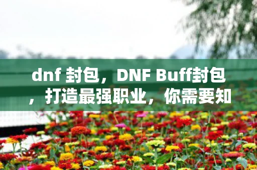 dnf 封包，DNF Buff封包，打造最强职业，你需要知道的那些技巧