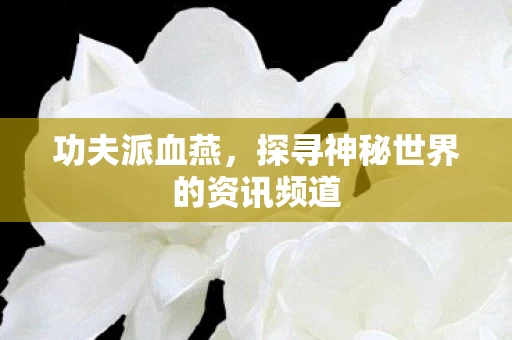 探寻神秘世界的资讯频道图片