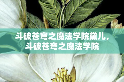 斗破苍穹之魔法学院黛儿，斗破苍穹之魔法学院
