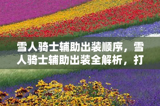 雪人骑士辅助出装顺序，雪人骑士辅助出装全解析，打造最强辅助，助你上分无忧