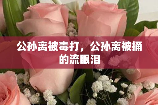 公孙离被毒打，公孙离被捅的流眼泪