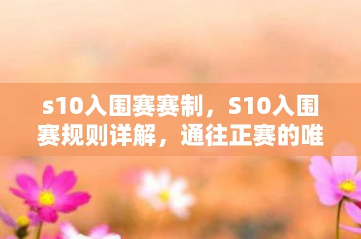 s10入围赛赛制,S10入围赛规则详解,通往正赛的唯一途径 s10入围赛赛制,S10入围赛规则详解,通往正赛的唯一途径