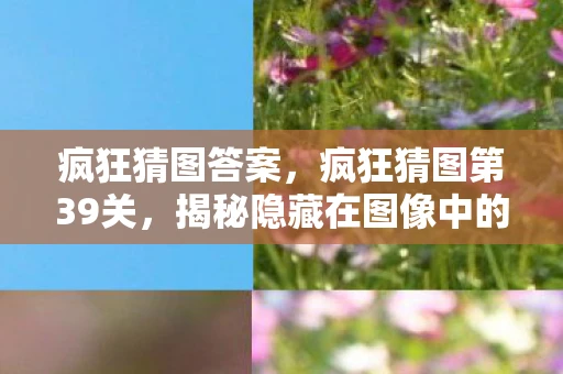 疯狂猜图答案，疯狂猜图第39关，揭秘隐藏在图像中的秘密
