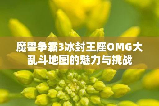 魔兽争霸3冰封王座OMG大乱斗地图的魅力与挑战图片
