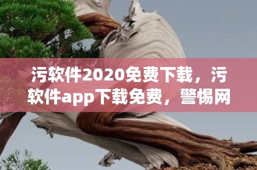 污软件2020免费下载,污软件app下载免费,警惕网络陷阱,保护个人隐私 污软件2020免费下载,污软件app下载免费,警惕网络陷阱,保护个人隐私