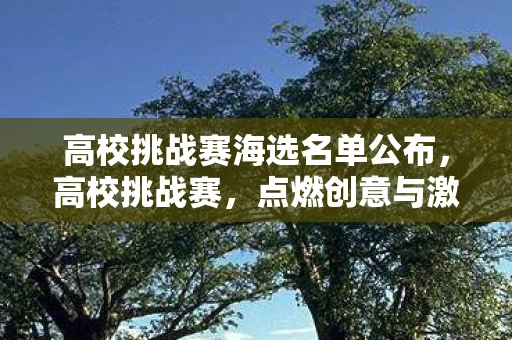 高校挑战赛海选名单公布,高校挑战赛,点燃创意与激情的火花 高校挑战赛海选名单公布,高校挑战赛,点燃创意与激情的火花