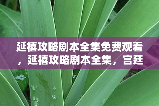 延禧攻略剧本全集免费观看，延禧攻略剧本全集，宫廷风云中的爱恨情仇