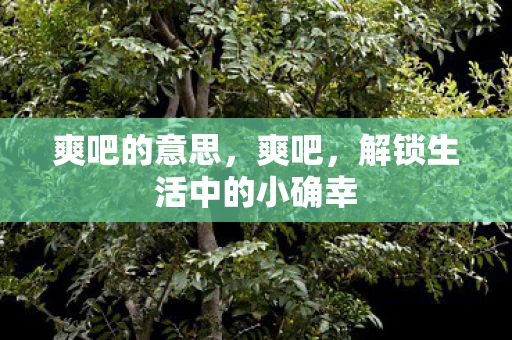 爽吧的意思，爽吧，解锁生活中的小确幸