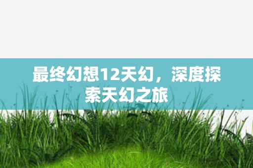 最终幻想12天幻图片