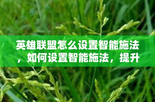 英雄联盟怎么设置智能施法，如何设置智能施法，提升游戏操作效率的关键步骤