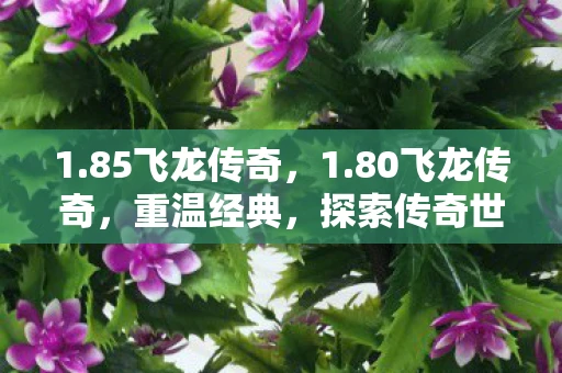 1.85飞龙传奇，1.80飞龙传奇，重温经典，探索传奇世界