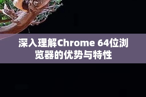 深入理解Chrome 64位浏览器的优势与特性图片