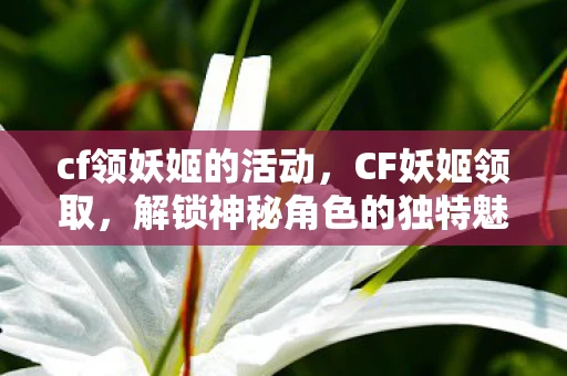 cf领妖姬的活动，CF妖姬领取，解锁神秘角色的独特魅力