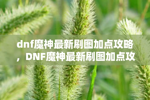 dnf魔神最新刷图加点攻略，DNF魔神最新刷图加点攻略，打造高效战斗体验