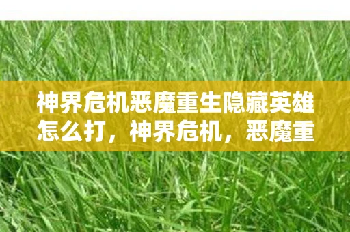 神界危机恶魔重生隐藏英雄怎么打，神界危机，恶魔重生隐藏英雄