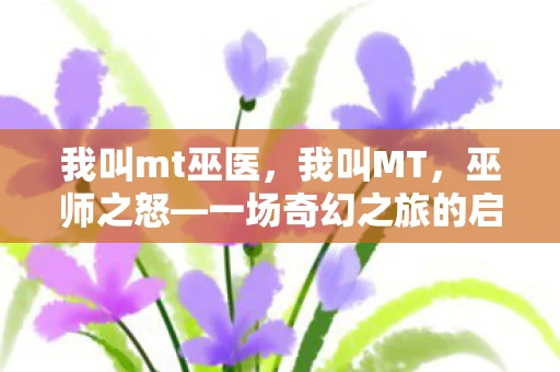 我叫mt巫医，我叫MT，巫师之怒—一场奇幻之旅的启程