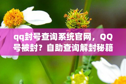 qq封号查询系统官网,QQ号被封?自助查询解封秘籍! qq封号查询系统官网,QQ号被封?自助查询解封秘籍!